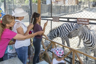Çocuklar Anneleriyle Tarsus Hayvan Parkı'nı Gezdi
