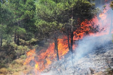 Fethiye'deki Orman Yangını Kontrol Altına Alındı