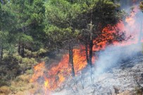 TOPTANCI HALİ - Fethiye'deki Orman Yangını Kontrol Altına Alındı