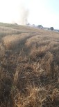 YÜKSEK GERİLİM HATTI - Kargalar Kavga Yaptı 15 Dekarlık Buğday Tarlası Yandı