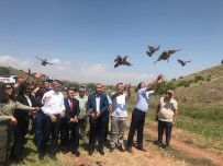 YUNUS SEZER - Kırıkkale'de 2 Bin Keklik Doğaya Bırakıldı