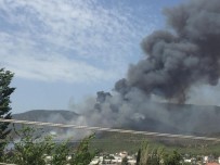 TOPTANCI HALİ - Muğla'da Üçüncü Yangın Fethiye'de Başladı