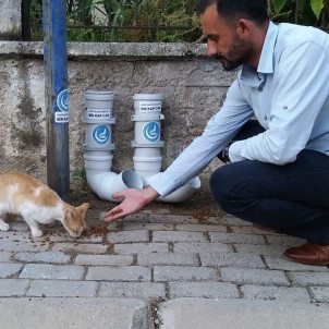 Ülkü Ocakları'ndan Sokak Hayvanları İçin Örnek Davranış