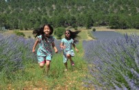 Lavanta Tarlaları Turistlerin Yeni Mekanı Oldu