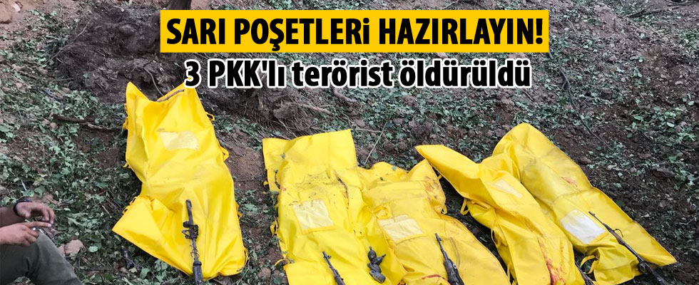 Operasyon devam ediyor: 3 PKK'lı terörist öldürüldü