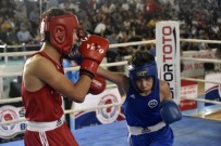 AYDIN DOĞAN - Üst Minikler Türkiye Ferdi Boks Şampiyonası Gümüşhane'de Başladı