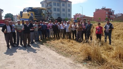 Aslanapa Ovası'nda Hasat Dönemi Dualarla Başladı