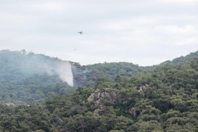 Bodrum'daki Orman Yangını Söndürüldü