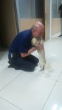 YUNUSEMRE - Köpeğine Böyle Kavuştu