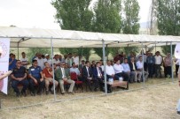 FATIH ÖZDEMIR - Niğde'de Buğday Tarla Günü Düzenlendi