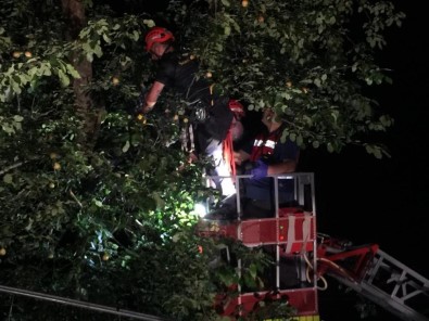Armut Toplarken Yüksek Gerilime Kapılarak Hayatını Kaybetti