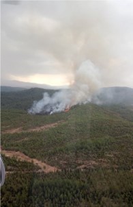 Köyceğiz'de Orman Yangını