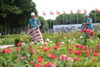 Şehitler Abidesi Ve 57. Alay Şehitliğinde 15 Temmuz Temizliği