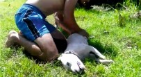 KALP MASAJI - Boğulan Köpeğini Kurtaramadı
