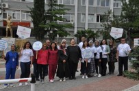 SAĞLIĞI MERKEZİ - Emet'te ''Sağlıklı Yaşam Yürüyüşü''