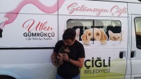 ÇIĞLI BELEDIYESI - Yavru Köpek 5 Metre Derinlikten Kurtarıldı
