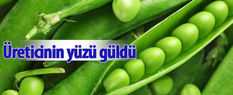'Yem Bezelyesi' üreticisinin yüzünü güldürdü