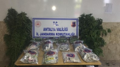 Antalya'da Jandarmadan Uyuşturucu Operasyonu