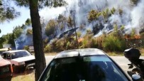 OYMAPıNAR - Antalya'daki Orman Yangını Kontrol Altına Alındı