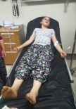 Aydın'da Akrep Alarmı, Akrebin Soktuğu Küçük Kız Yoğun Bakıma Alındı