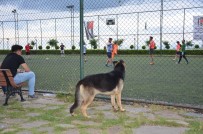 VE GOL - Köpeğin Futbol Tutkusu