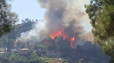 Manavgat'ta Orman Yangını (1)
