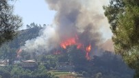 OYMAPıNAR - Manavgat'ta Orman Yangını (1)