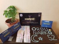 ALTINORDU - Ordu'da Uyuşturucu Operasyonu Açıklaması 2 Tutuklama