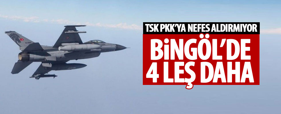 Bingöl'de PKK'ya darbe!
