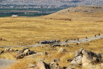 Klaus Schmidt İçin Göbeklitepe'ye Pedal Çevirdiler
