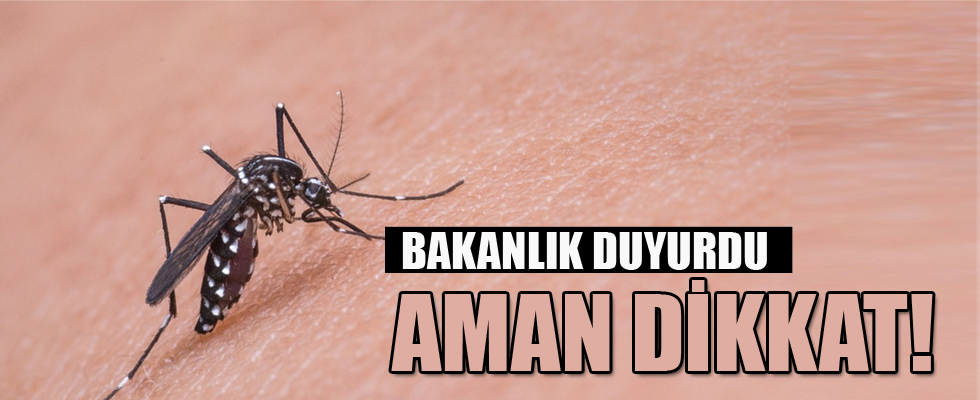 Sağlık Bakanlığı duyurdu! sivrisinekle gelen virüs tehlikesi