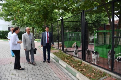 Prof. Dr. Aygül'den Hayvan Barınağına Övgü