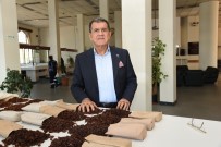 ORMAN BAKANI - TMO'ya Kuru Üzüm Talebi