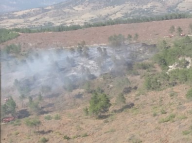 Aydın'da Aynı Bölgede İki Ayrı Orman Yangını