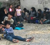 KÜÇÜKKÖY - Ayvalık'ta 37 Mülteci Yakalandı