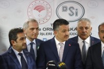 ORMAN BAKANI - Bakan Pakdemirli, 'İspanya'dan İthal Edilen Hayvanların Karantina Süreci Devam Ediyor'