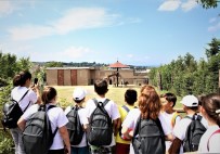 ÜMRANİYE BELEDİYESİ - Bilge Çocuklar Darıca Hayvanat Bahçesi'ni Gezdi