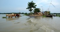 ASSAM - Güney Asya'daki Sel Felaketinde Ölü Sayısı 300'Ü Aştı