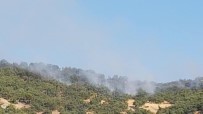 Hozat'ta Orman Yangını, Ekipler Müdahale Ediyor Haberi