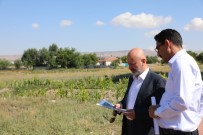 AHMET YESEVI - Kocasinan'da Hoca Ahmet Yesevi Mahallesi Yenileniyor