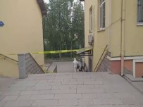 Meteoroloji Cıva Paniği