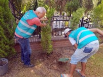 BAŞSAVCı - Şehitlik Ve Okulların Bakımını Hükümlüler Yapıyor