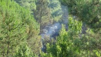 Şile'de Korkutan Orman Yangını Haberi