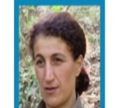 HABUR - Terör Örgütü PKK Çözülmeye Devam Ediyor