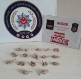 HINT KENEVIRI - Apartmanda Saksı İçerisinde Esrar Yetiştirmiş