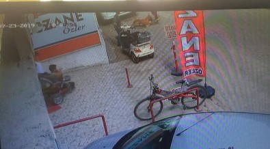 Bu Nasıl Vicdansızlık ! Hamile Kediyi Pitbull'a Yem Yaptı