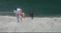 ARTVİN BELEDİYESİ - Çoruh Nehri'nin Kenarına Düşen Köpek Kurtarıldı