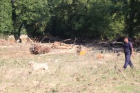 KURTARMA BOTU - Düzce'de, 3'Ü Çocuk 4 Kişiyi Arama Çalışmaları Sürüyor