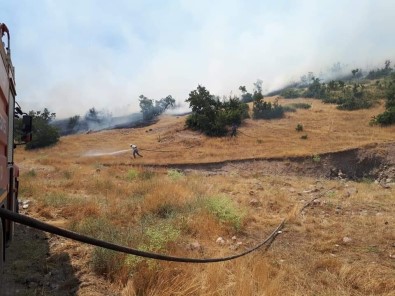 Hozat'taki Orman Yangını Söndürüldü