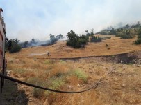 Hozat'taki Orman Yangını Söndürüldü Haberi